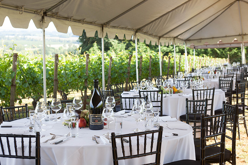 Lunch in the Vineyard