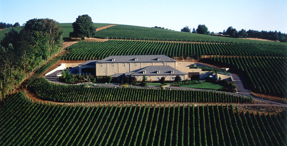 Summit vineyard