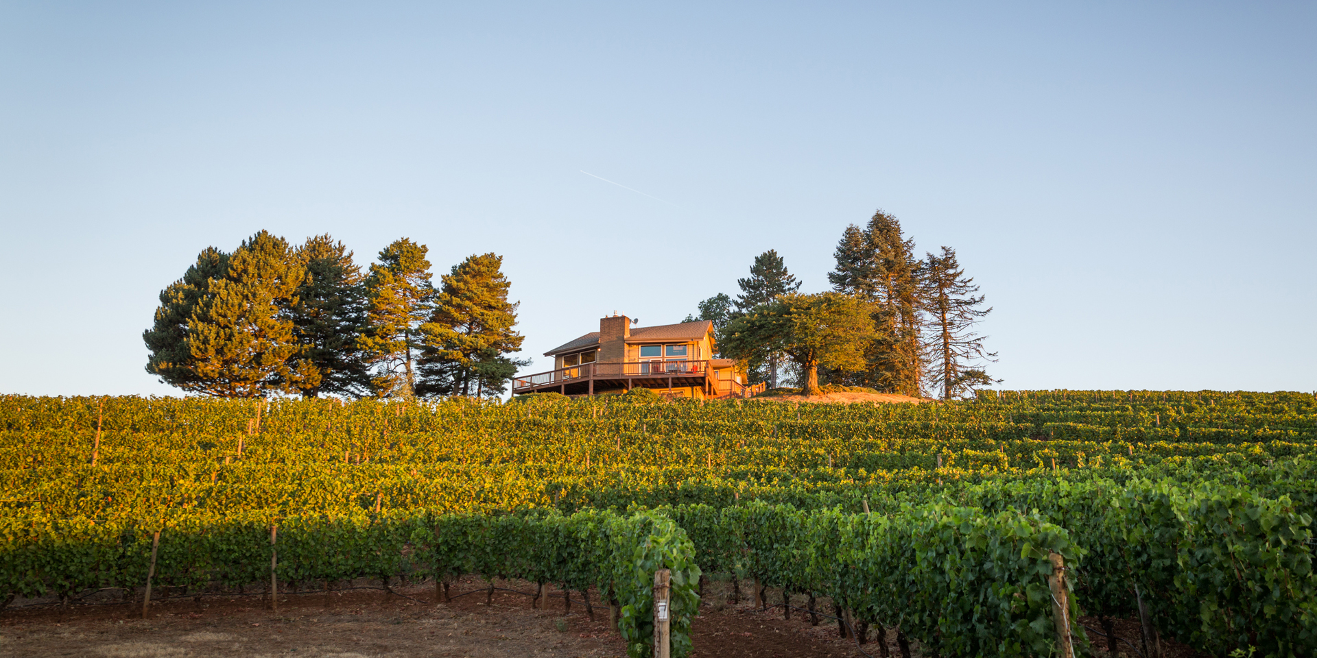 Exterior Distant View of Guest House