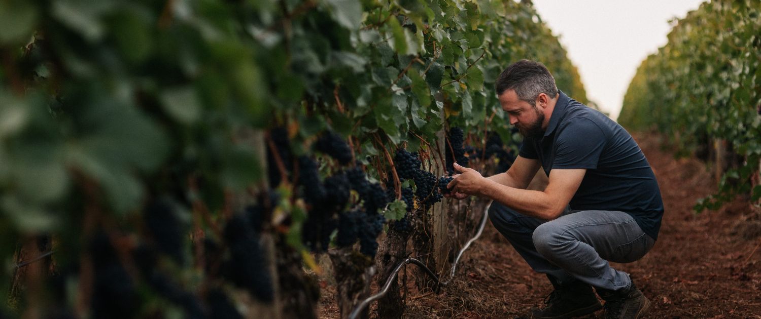 Winemaker, Ian Burch, in the vineyards.