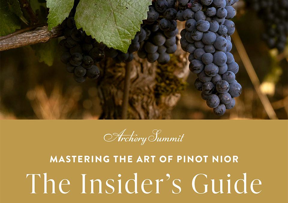 Archery Summit Guide cover "Mastering the Art of Pinot Noir"