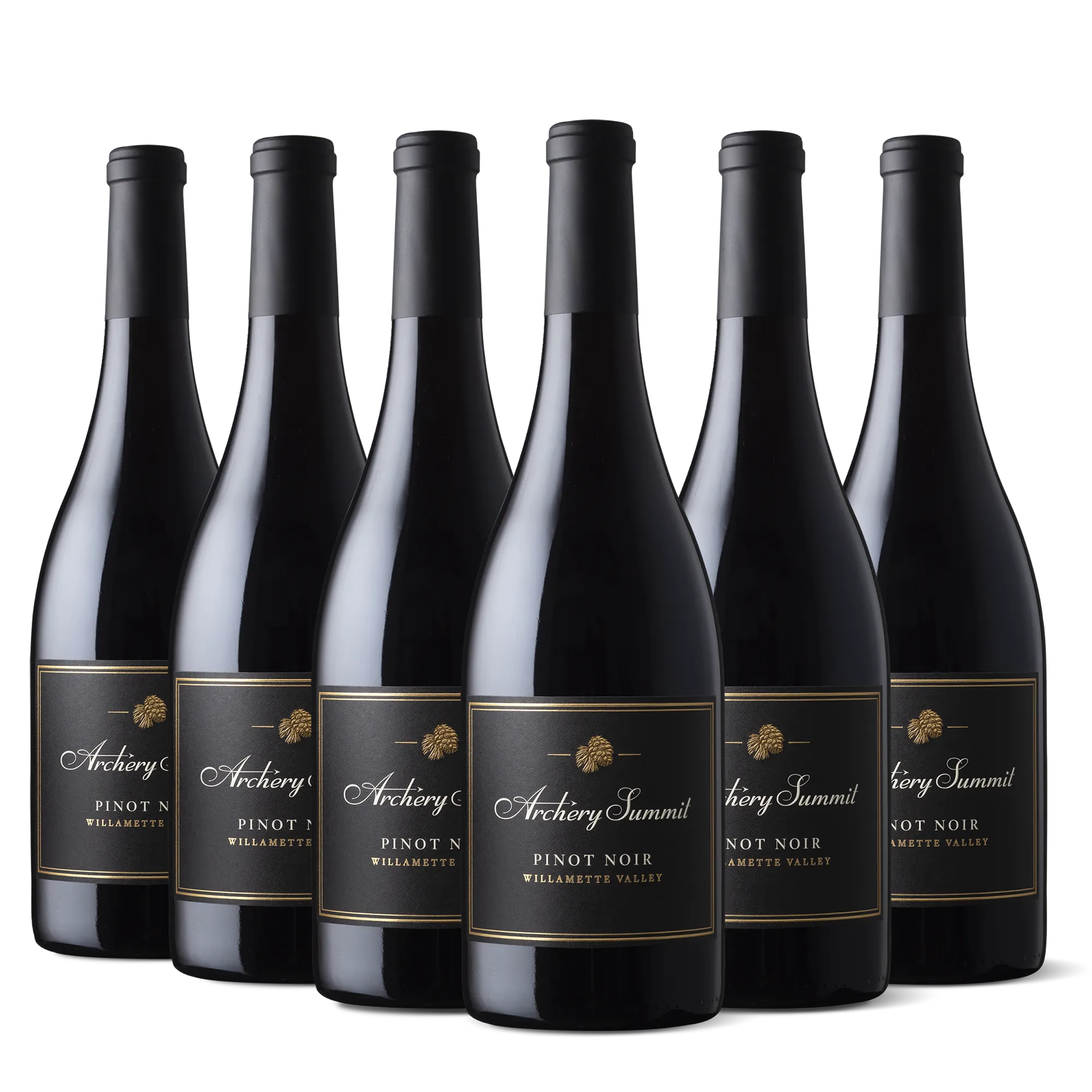 Six bottles of Archery Summit Pinot Noir wine are arranged in two rows against a white background. The bottles have dark labels with gold and white text, capturing the refined allure found in the Edge of Elegance: The Archer’s Pinot 3-Bottle Collection.