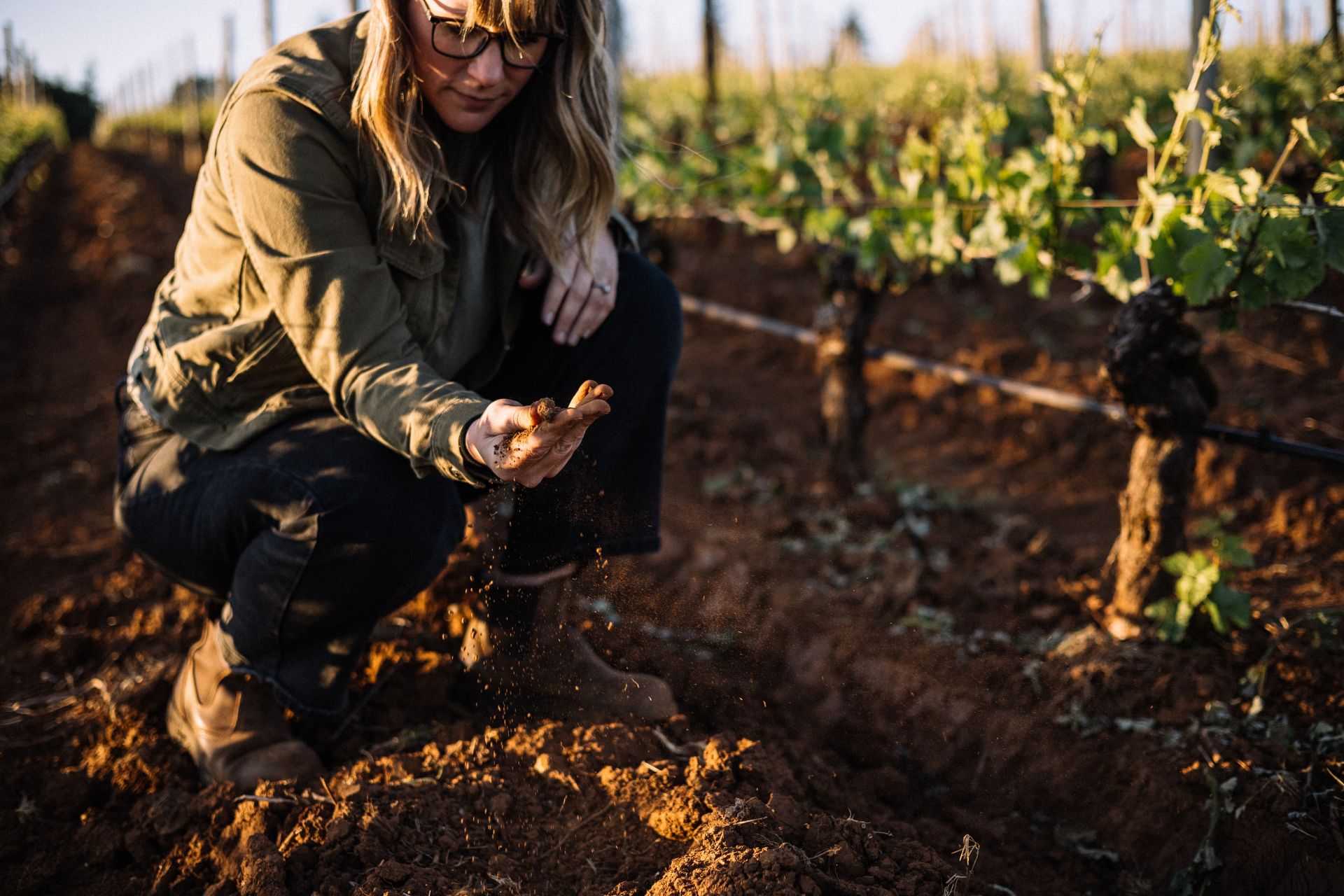 A person crouches in a vineyard, examining soil in their hand. Rows of grapevines stretch out behind them under warm, natural light. The scene suggests careful inspection of the land.