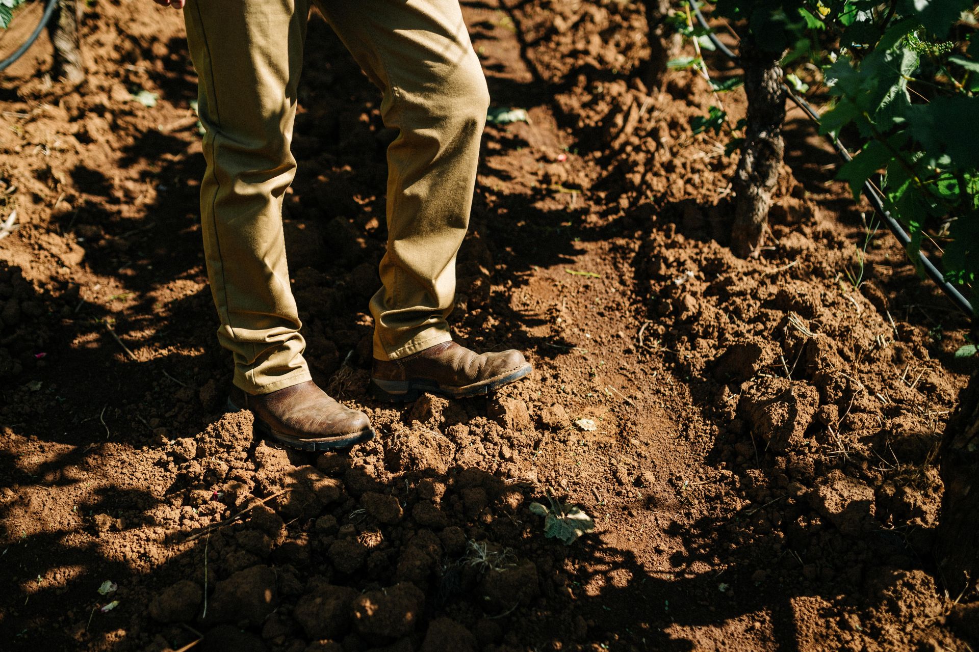A person wearing tan pants and brown boots stands on uneven, sunlit soil between rows of plants or crops in a garden or farm.