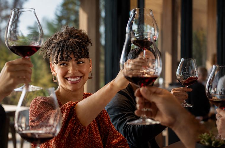 A group of people raise glasses of red wine in a cheerful toast at a sunlit indoor gathering. A smiling woman in focus wears a red patterned top and gold hoop earrings. Large windows show trees outside.